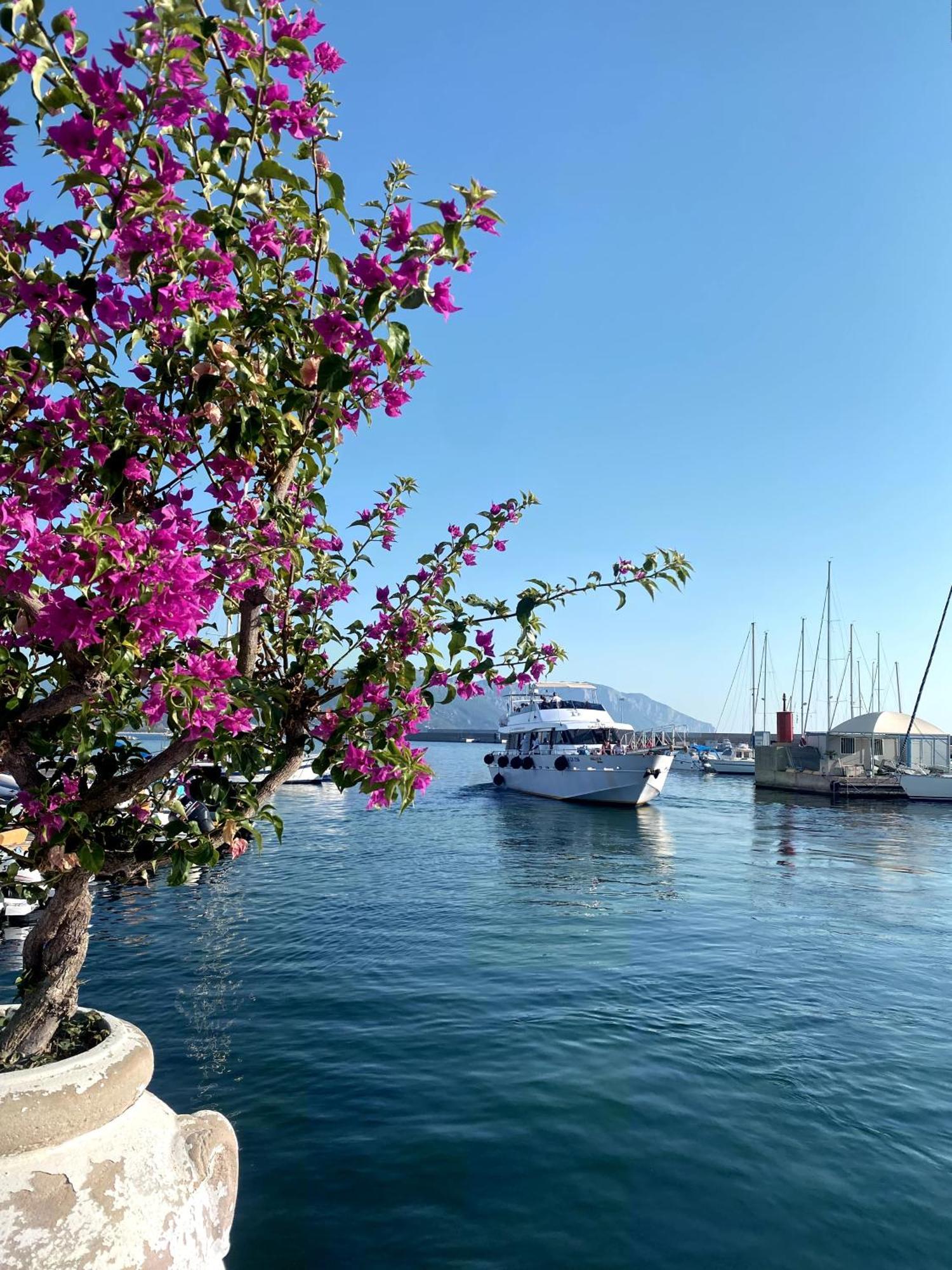 Domo Annalisa Hotel Tortolì Buitenkant foto